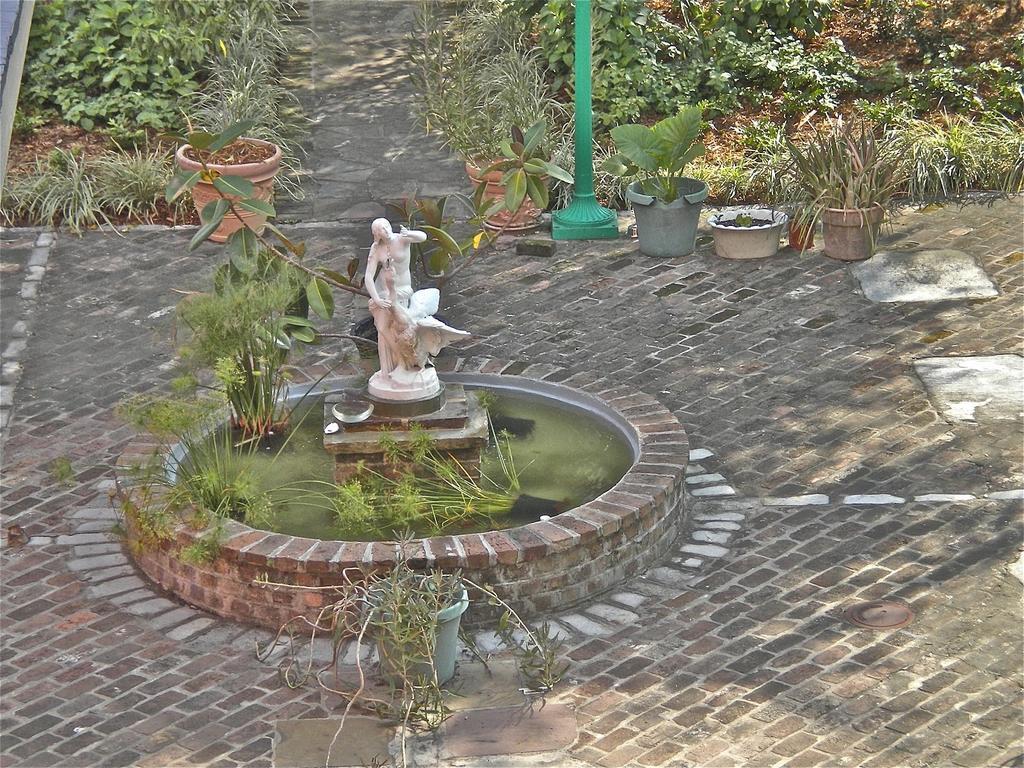 La Belle Esplanade Bed & Breakfast New Orleans Ngoại thất bức ảnh